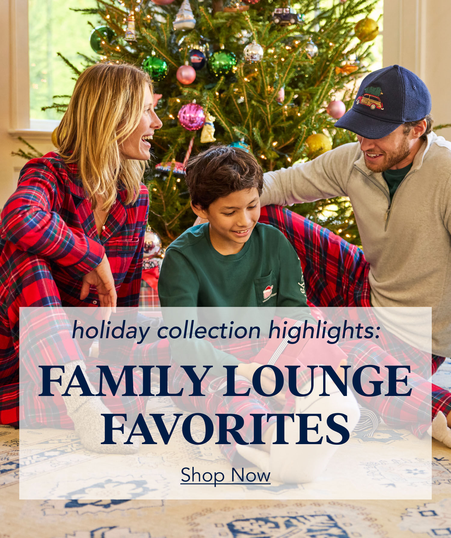 family holiday lounge shop